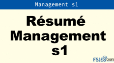 Résumé Management s1 pdf