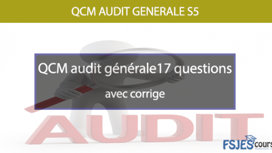 Examens D’Audit Général – FSJES Cours