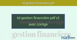 Gestion Financière Exercice Corrigé S5 Pdf - FSJES Cours