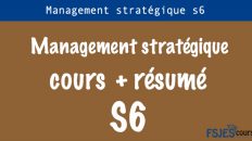 Management stratégique cours s6
