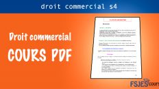 droit commercial pdf