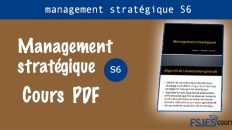 cours management stratégique s6