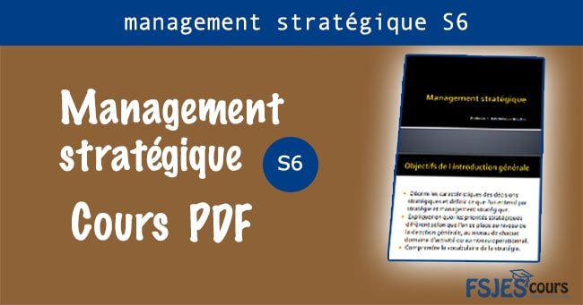 cours management stratégique s6