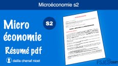 Microéconomie résumé s2