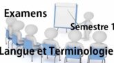  Langue Et Terminologie (Examen S1) pdf