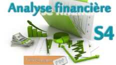 Module: Analyse Financière S4
