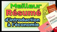 Meilleur Résumé De Introduction a L’économie S1